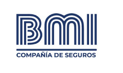 Aseguradora aliada 1